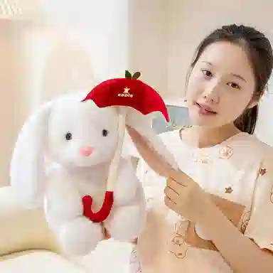 25cm35cm
