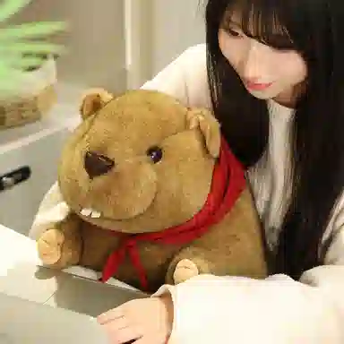 lionf 18cm25cm35cm45cm