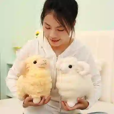lionf 25cm