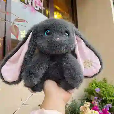 lionf 25cm