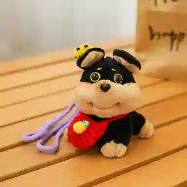 13cm