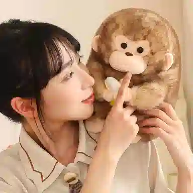 lionf 23cm30cm40cm
