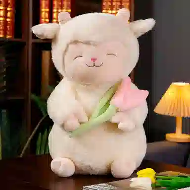 25cm40cm