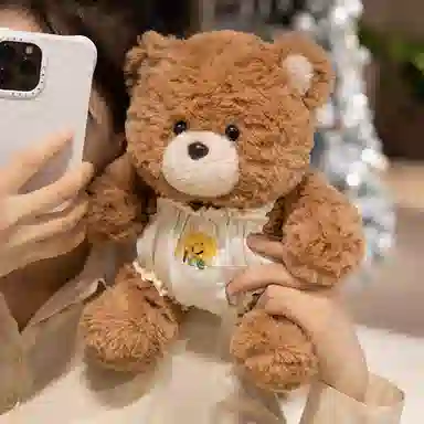 lionf 25cm