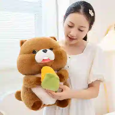 20cm30cm