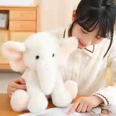 lionf 23cm35cm