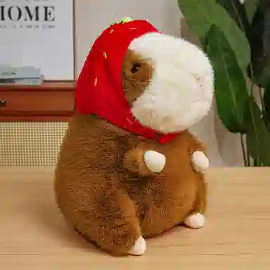 lionf 25cm40cm50cm