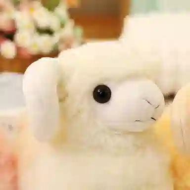 lionf 25cm
