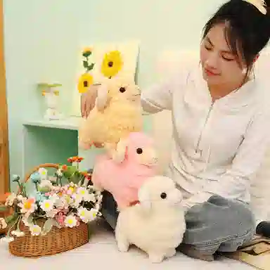 lionf 25cm