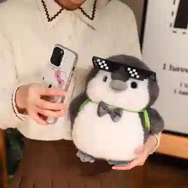 25cm35cm