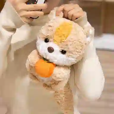 24cm