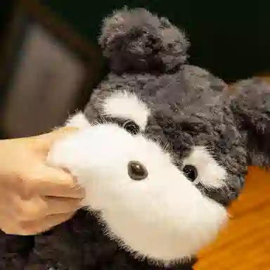 lionf 22cm