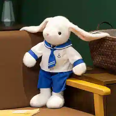 lionf 35cm50cm