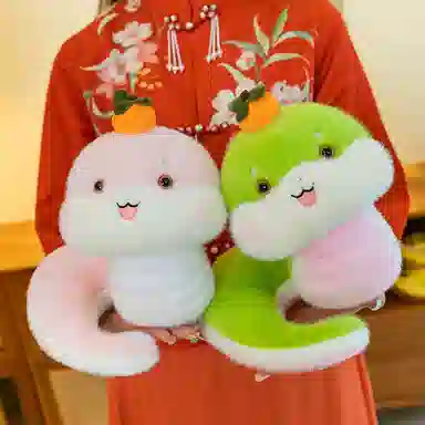 25cm