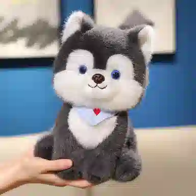 25cm35cm