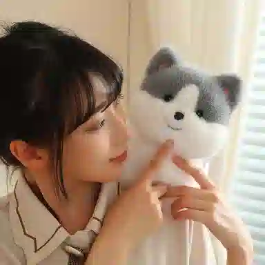 lionf 3 20cm30cm