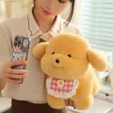 lionf 3 20cm30cm