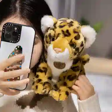 15cm20cm25cm