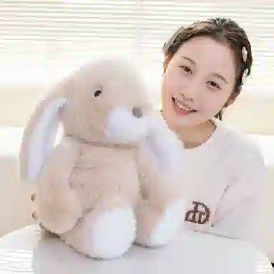 lionf 33cm43cm53cm