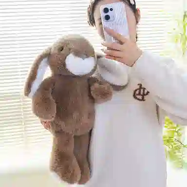 lionf 33cm43cm53cm