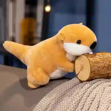 22cm