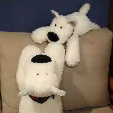 50cm70cm90cm