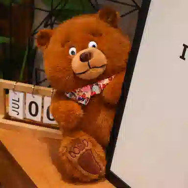 lionf 25cm35cm45cm