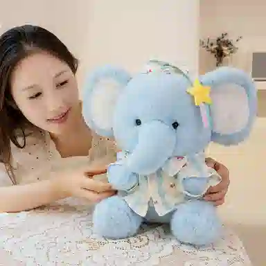 22cm30cm