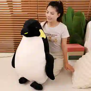 40cm50cm60cm80cm