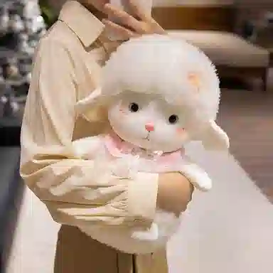 25cm38cm45cm