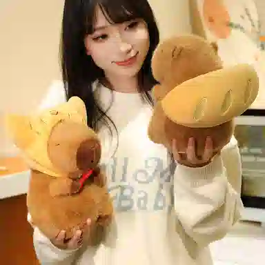 lionf 22cm33cm