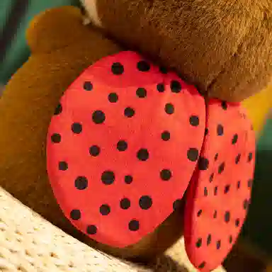 lionf 27cm37cm