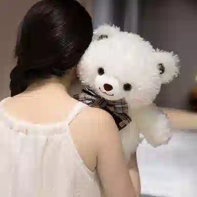 lionf 35cm45cm