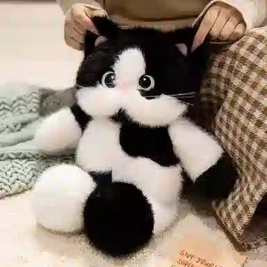 lionf 45cm60cm