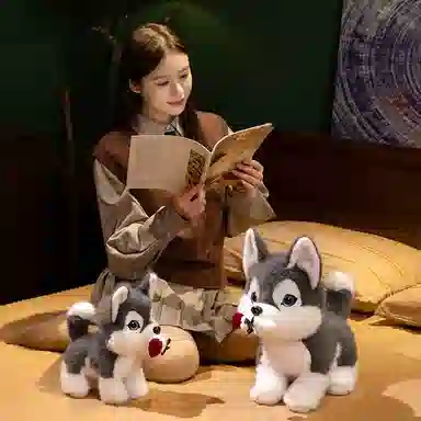 lionf 30cm