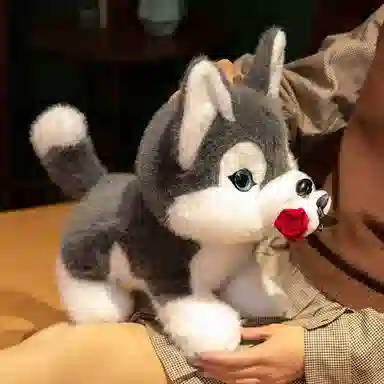 lionf 30cm