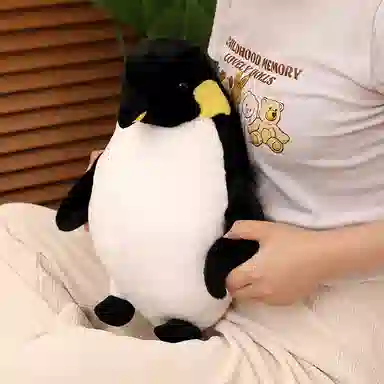 40cm50cm60cm80cm