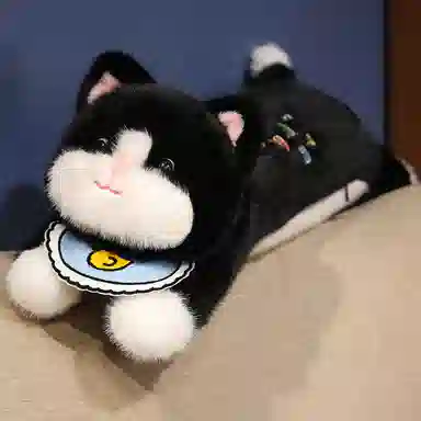 60cm90cm