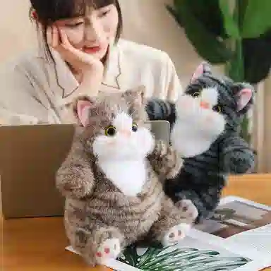 lionf 25cm40cm60cm80cm