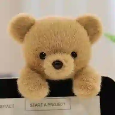 15cm