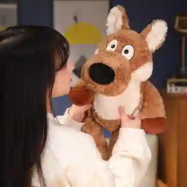 50cm