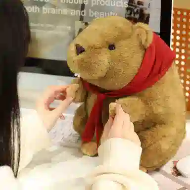 lionf 18cm25cm35cm45cm