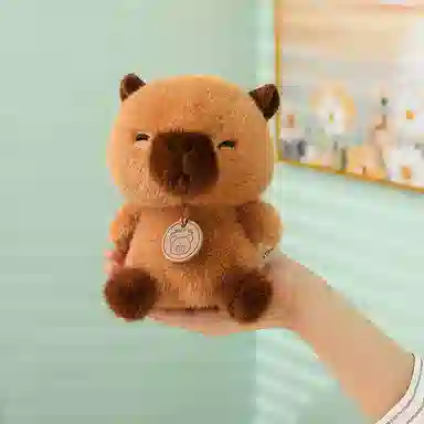 15cm