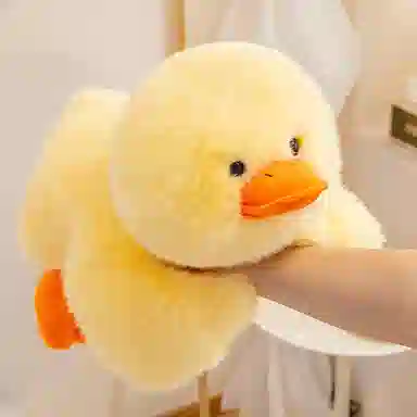 30cm45cm