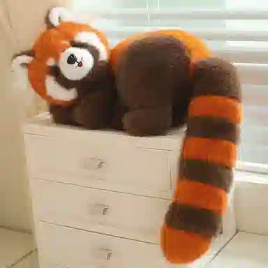 lionf 50cm70cm100cm