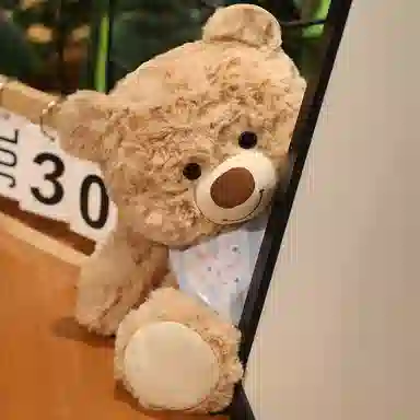 25cm35cm