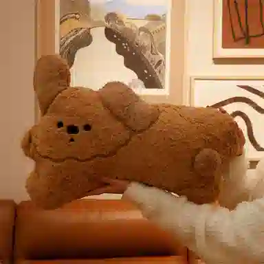 lionf 50cm
