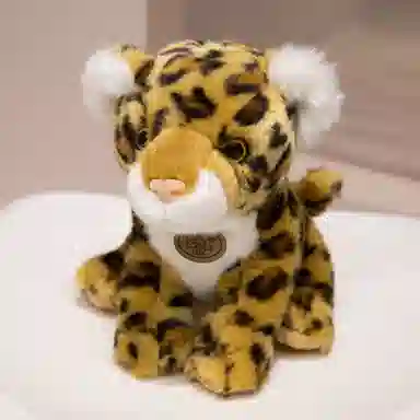 15cm20cm25cm
