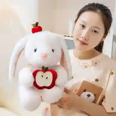 25cm35cm