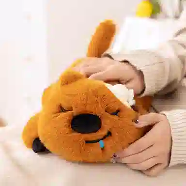 lionf 33cm23cm